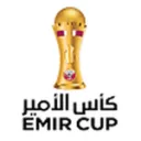 كأس أمير قطر