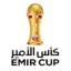 كأس أمير قطر